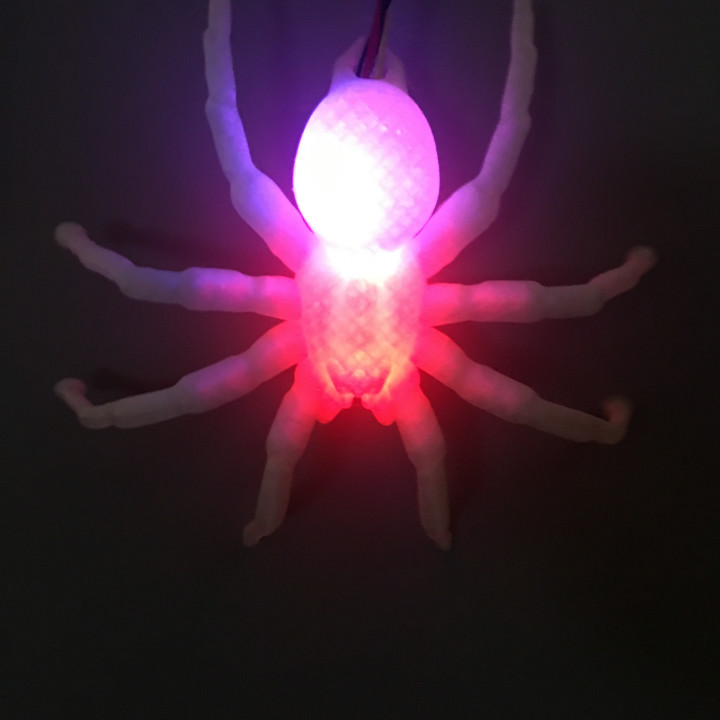 Hanging Spider image