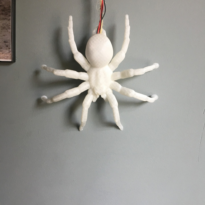 Hanging Spider image