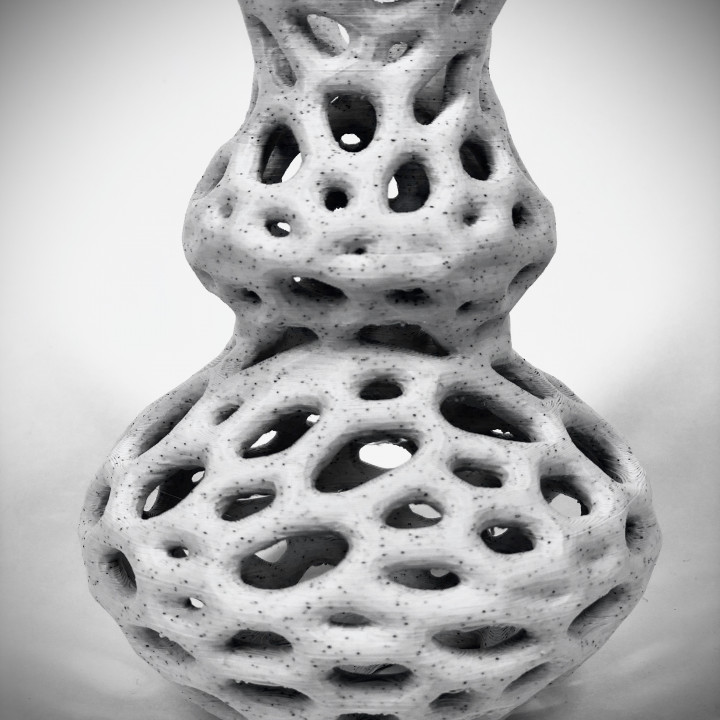 The Hole Vase image