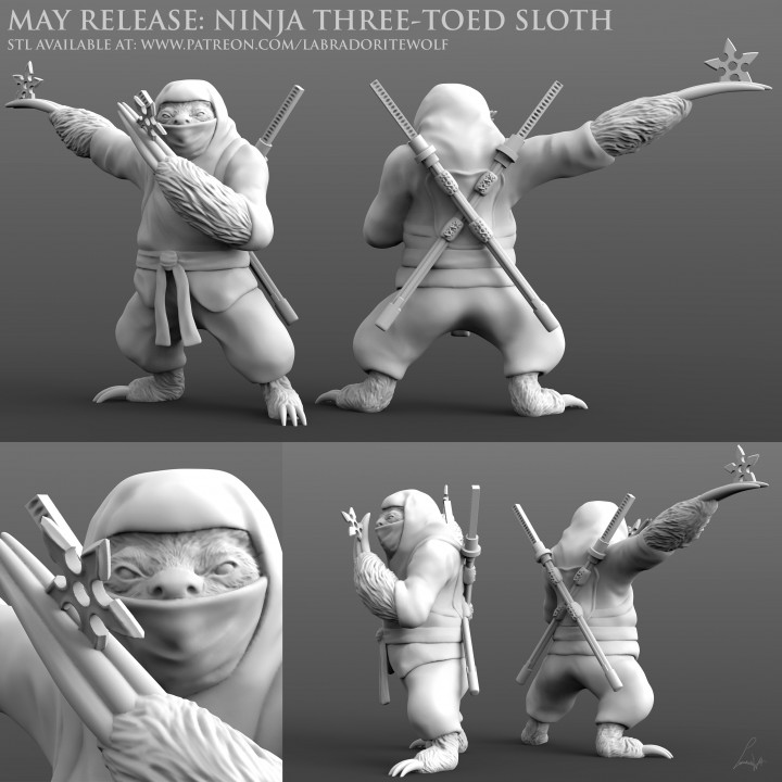 Ninja Three-Toed-Sloth image