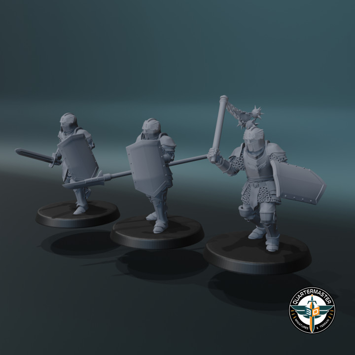 Knights with Modular Weapons image