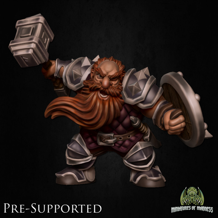 HOLD MY DWARF   [PRE-SUPPORTED] 60+ Models image