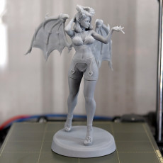 Picture of print of 18K Anatomy - Succubus
