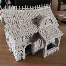 Picture of print of Leichheim kickstarter Teaser model Medieval citizen's building