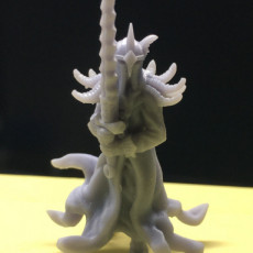 Picture of print of Dark King - Presupported