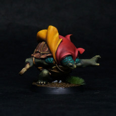 Picture of print of Turtlefolk Mage