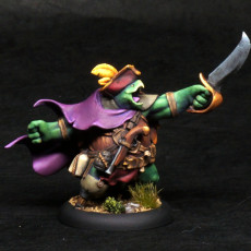 Picture of print of Turtlefolk Pirate