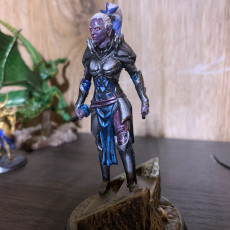 Picture of print of Drow Warrior Female - Expedition to the Underworld - Loot Studios