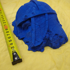 Picture of print of Fallen Norse Statue Ruins Head (pre-supported)