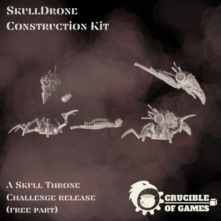 SkullDrone construction kit (free Sensor skull) image