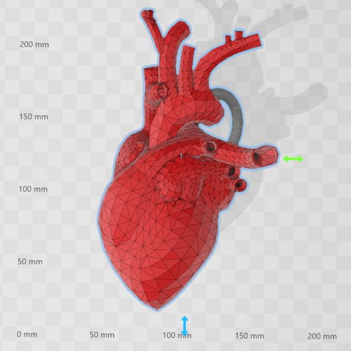 Anatomical Heart Pendant image