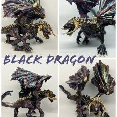 Picture of print of Black Dragon 01