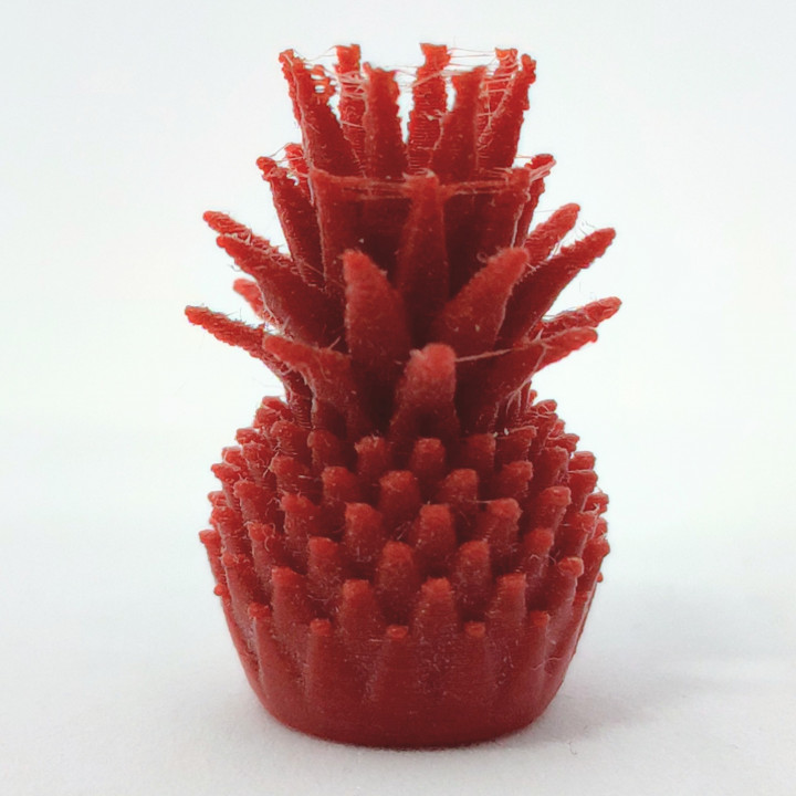 Tiny Pineapple - Detail Test (No supports) image