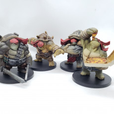 Picture of print of Teenage Mutant Ninja Tortle miniatures bundle - Pre-Supported