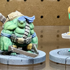 Picture of print of Teenage Mutant Ninja Tortle miniatures bundle - Pre-Supported