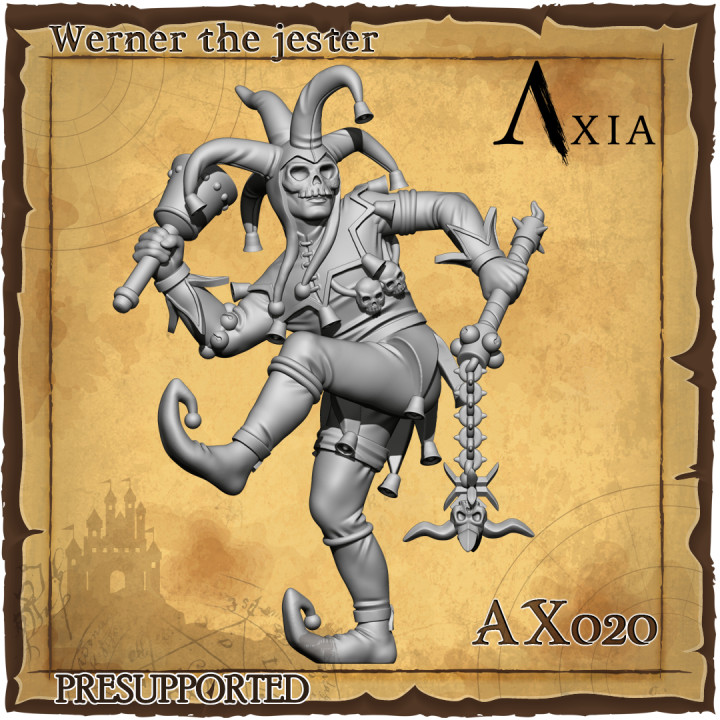 AX020 Werner image