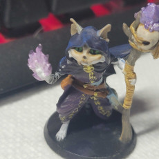 Picture of print of Warlock Cat