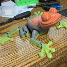 Picture of print of Cute Flexi Print-in-Place Frog