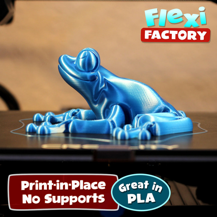 Cute Flexi Print-in-Place Frog image
