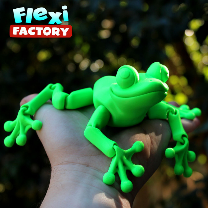Cute Flexi Print-in-Place Frog image