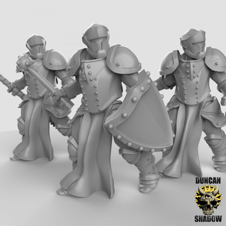 Warforged Fighters 1 (multi weapon options) (Pre Supported) image