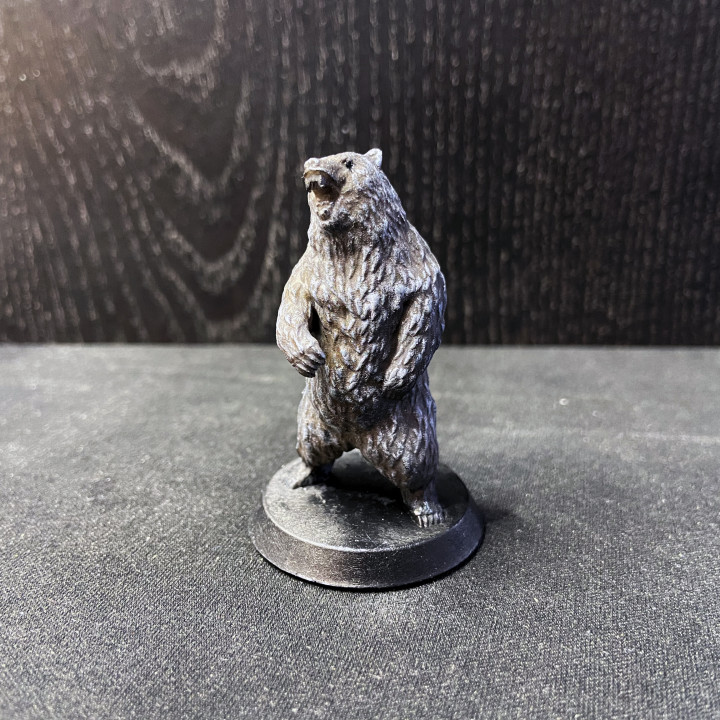 Dire Bear (Pre-Supported) image