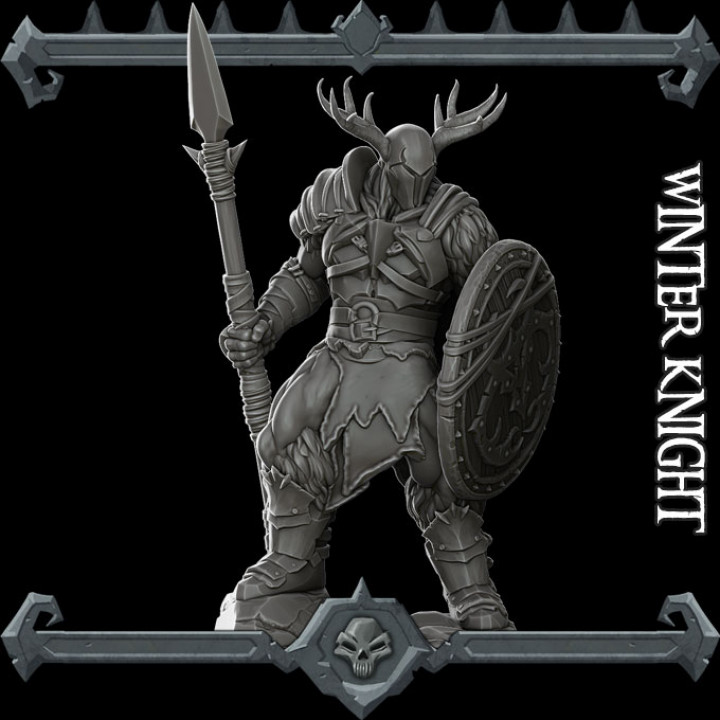 Winter Knight image