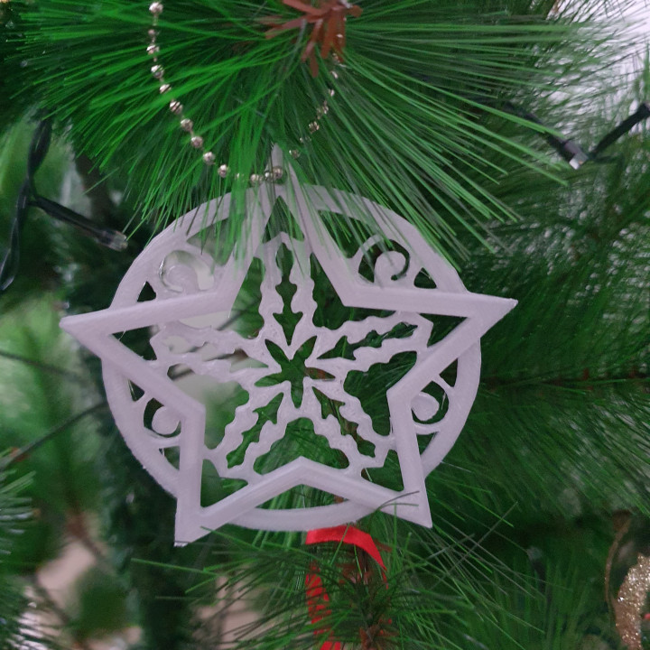 Christmas ornament 1 image