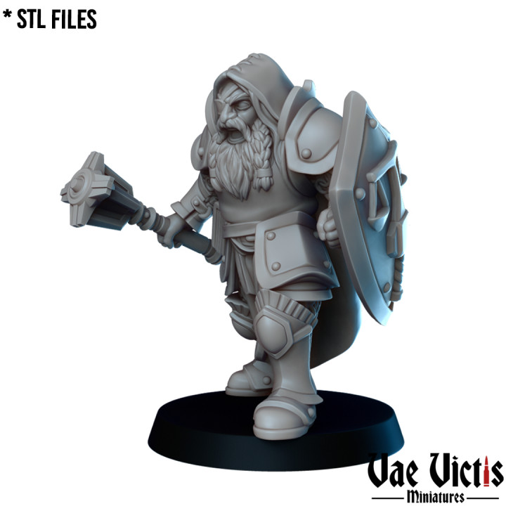 The Dwarf Cleric image