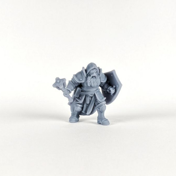 The Dwarf Cleric image