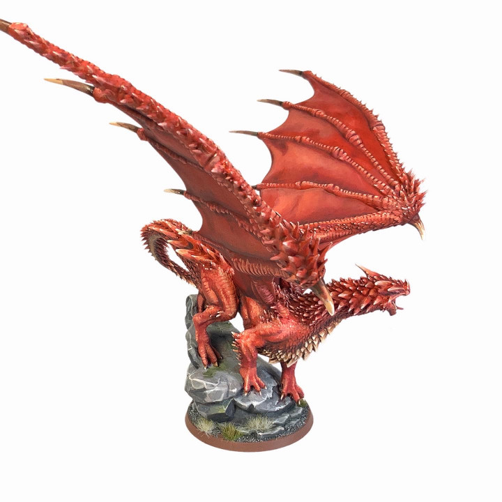720X720-young-red-dragon-