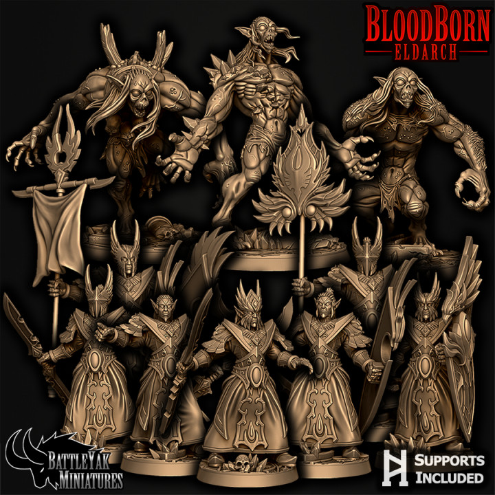 Bloodborn Eldarch Character Pack image