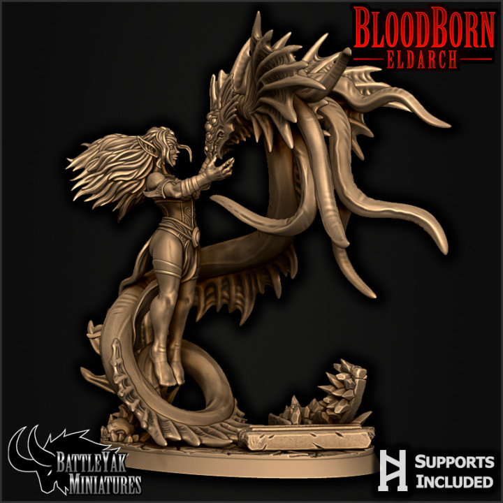 Bloodborn Eldarch Character Pack image