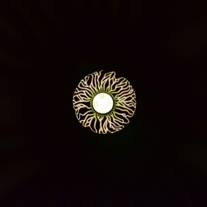 Empyreal Bloom (Pendant Light - Procedural Growth) image