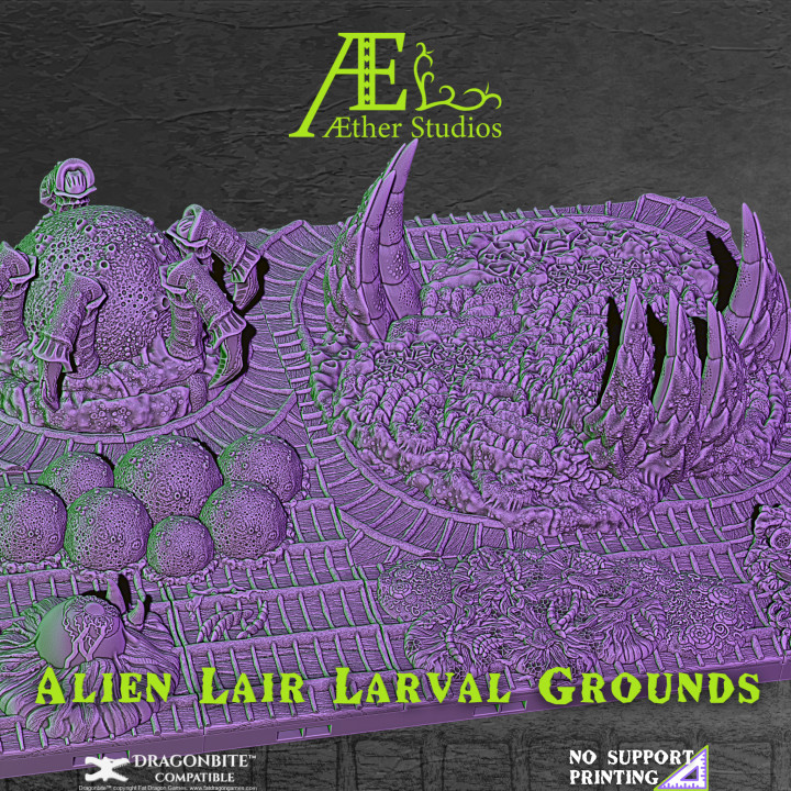 AELAIR06 - Larval Grounds image