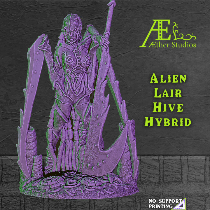 AELAIR04 - Hive Hybrid image