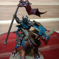 Picture of print of The Dragonguard (presupported)