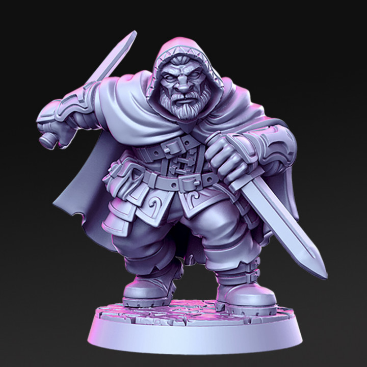 Orwin - Dwarf assassin - 32mm - DnD image