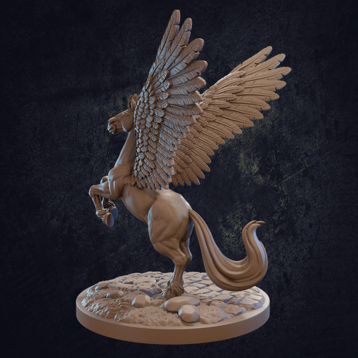 Pegasus image