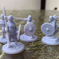 Picture of print of VIKINGS - Shieldmaidens Modular Warband Presupported