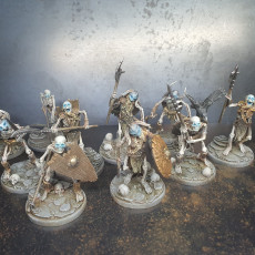Picture of print of DRAUGR: Undead Skeleton Infantry /Pre-supported/