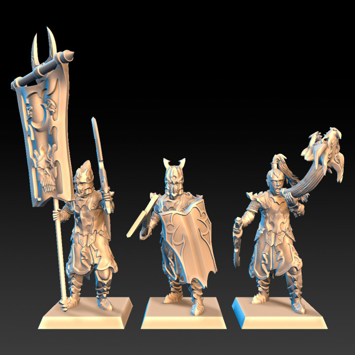 Elven spearmen and swordsmen image