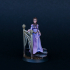 Elven Lady Aranwen - Presupported print image