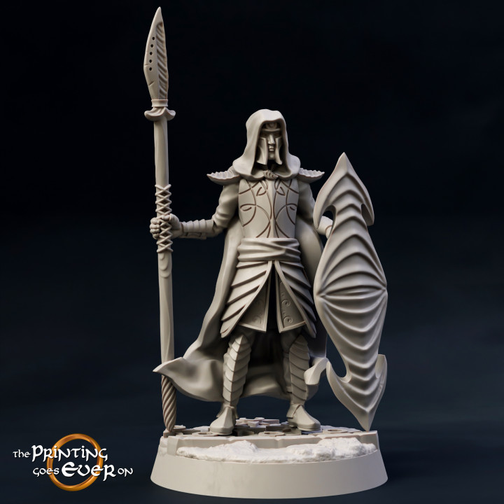 Elven Guard - Presupported image