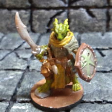 Picture of print of Male Dragonborn Cleric of Tamara with Scimitar and Shield NOW PRESUPPORTED