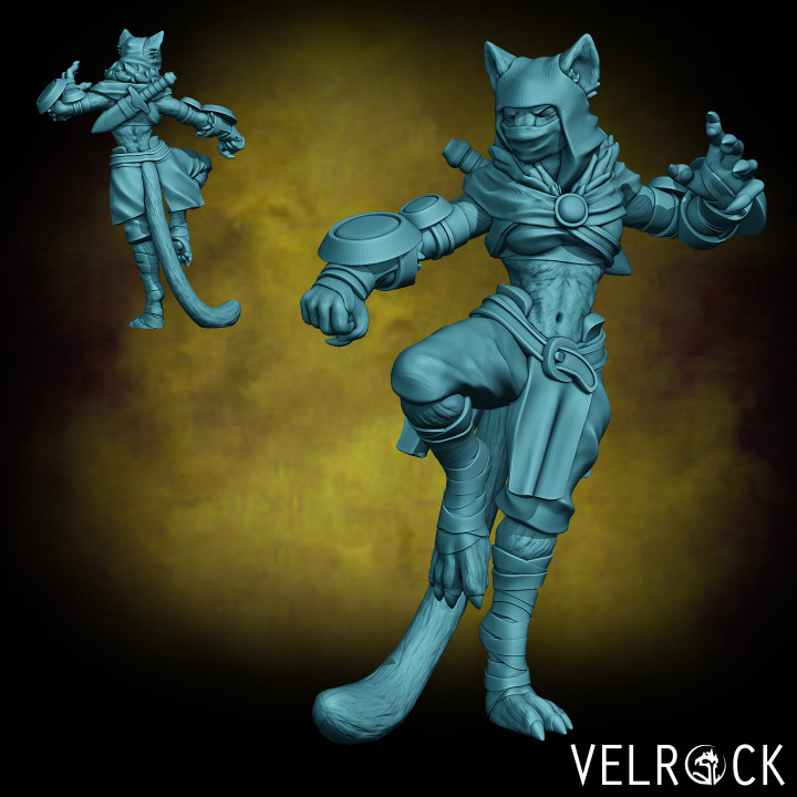Female Tabaxi Monk with Claws NOW PRESUPPORTED image