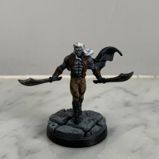 Picture of print of Dark Elf Ranger - Professionally pre-supported!
