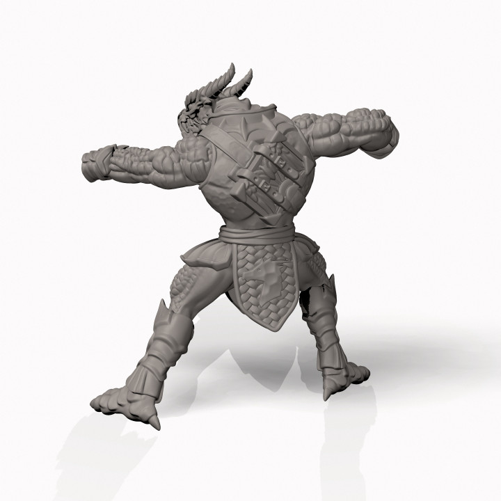 Dragonborn Paladin - Professionally pre-supported! image