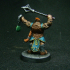 Dwarf Cleric  - Professionally pre-supported! print image