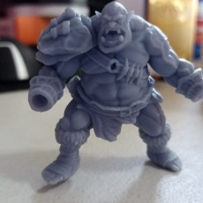 Picture of print of Ogre Champion - Professionally pre-supported!